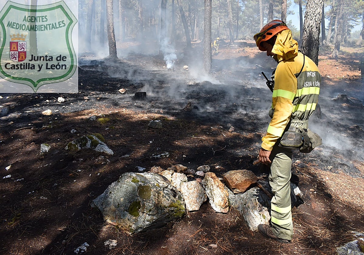 Incendio en un pinar de Palencia por una hoguera de un turista