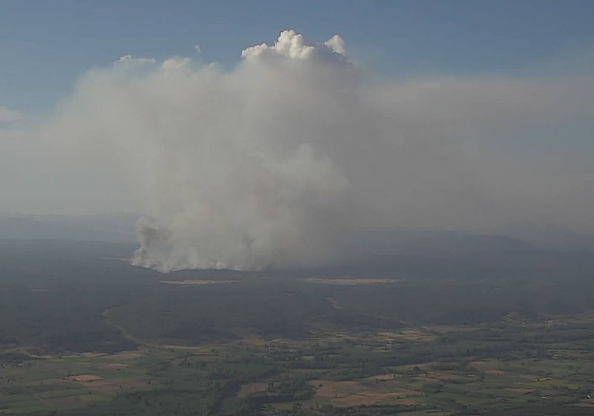 Incendio forestal en San Bartolomé de Rueda (León)