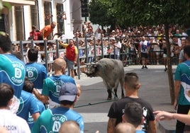 El Toro de Cuerda de Carcabuey, en imágenes