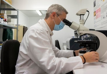 Universidades y centros de Castilla y León reciben 3,6 millones para la retención de talento investigador