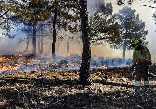 Baja un 90% la superficie quemada por incendios en Castilla-La Mancha, con tan sólo 300 hectáreas este verano