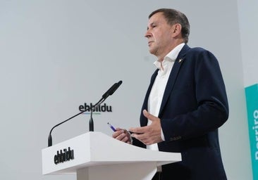 Beneficios a los presos de ETA y un nuevo modelo territorial, las condiciones de Otegi para investir a Sánchez