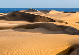 La foto en las Dunas de Maspalomas, a 150 euros por persona