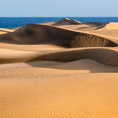 La foto en las Dunas de Maspalomas, a 150 euros por persona