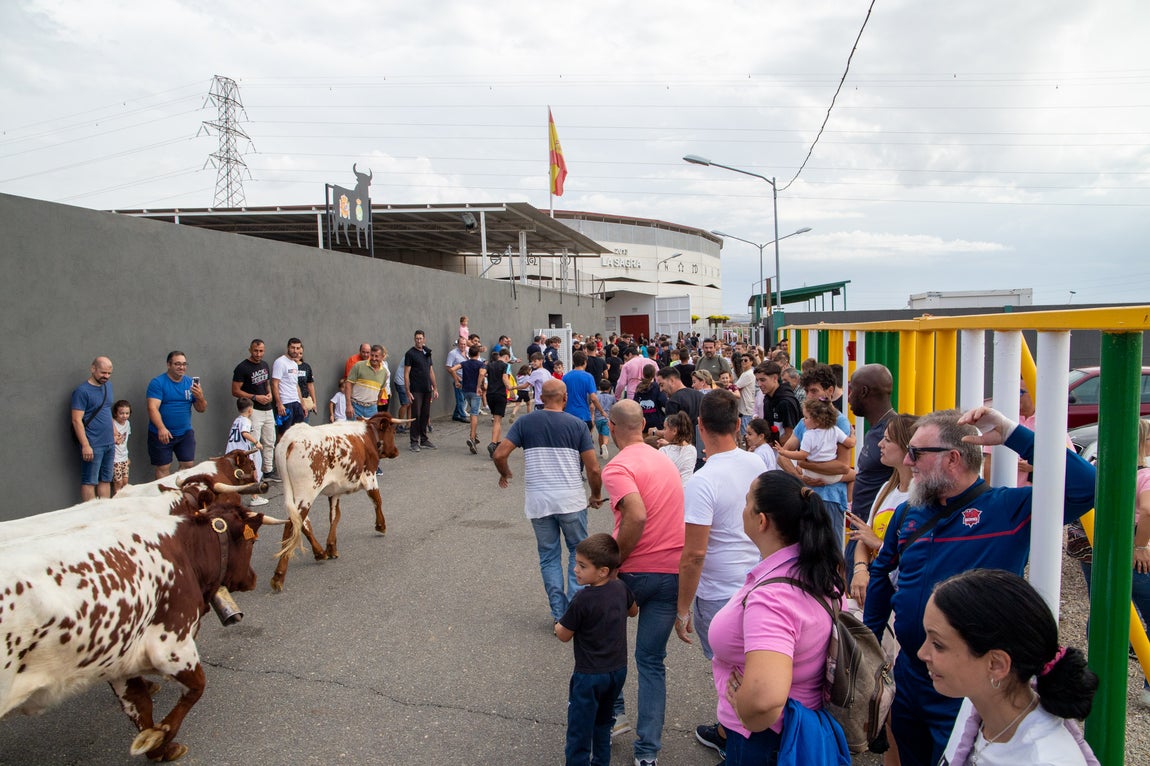 Villaseca de la Sagra se lo pasa en grande