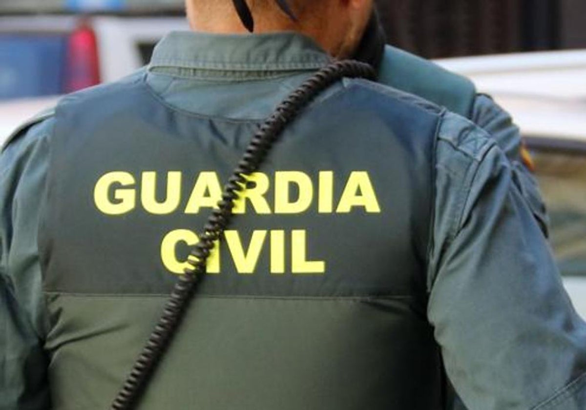 La Guardia Civil se ha hecho cargo de las pesquisas