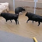 El Gobierno de Castilla-La Mancha recomienda evitar desplazamientos por la DANA