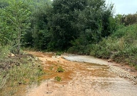 La DANA provoca daños en infraestructuras agrarias y en campos de almendras pendientes de recolectar