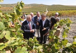 Agricultores y ganaderos de toda España protestarán en la cumbre de los ministros de la UE este martes en Córdoba