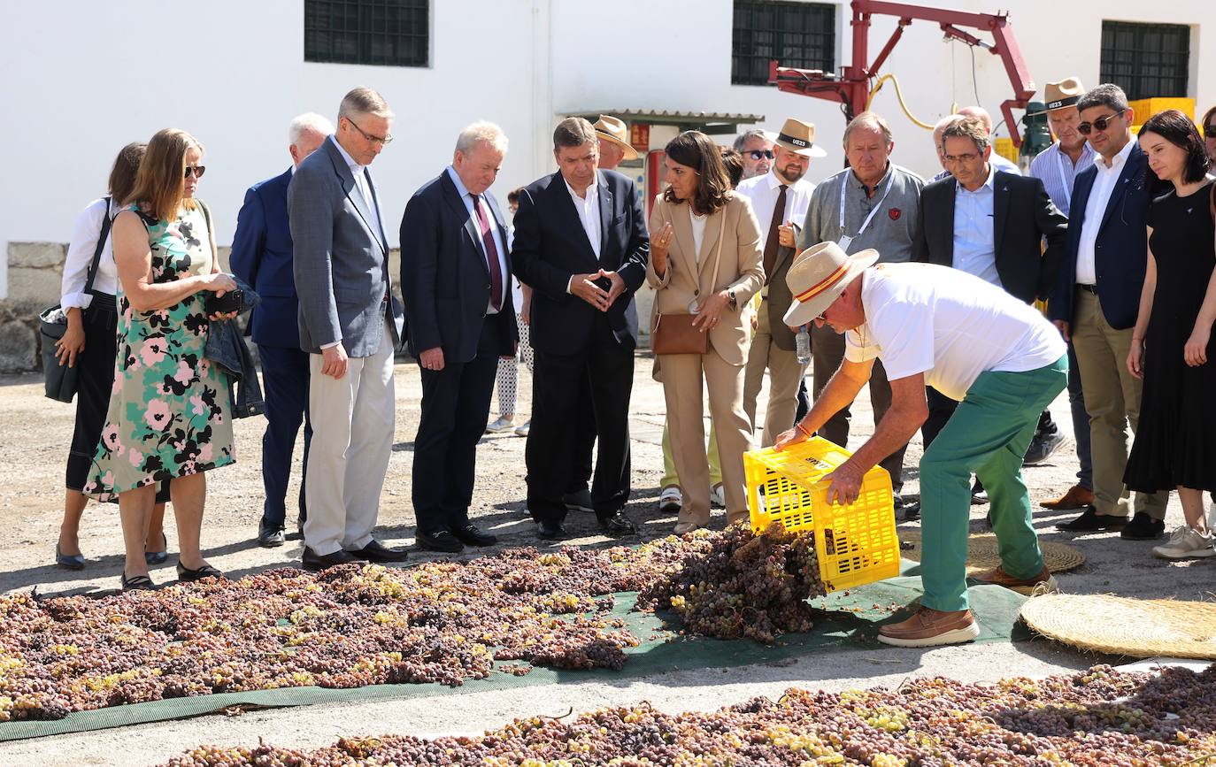 La visita de los ministros de Agricultura de la UE a Bodegas Alvear de Montilla