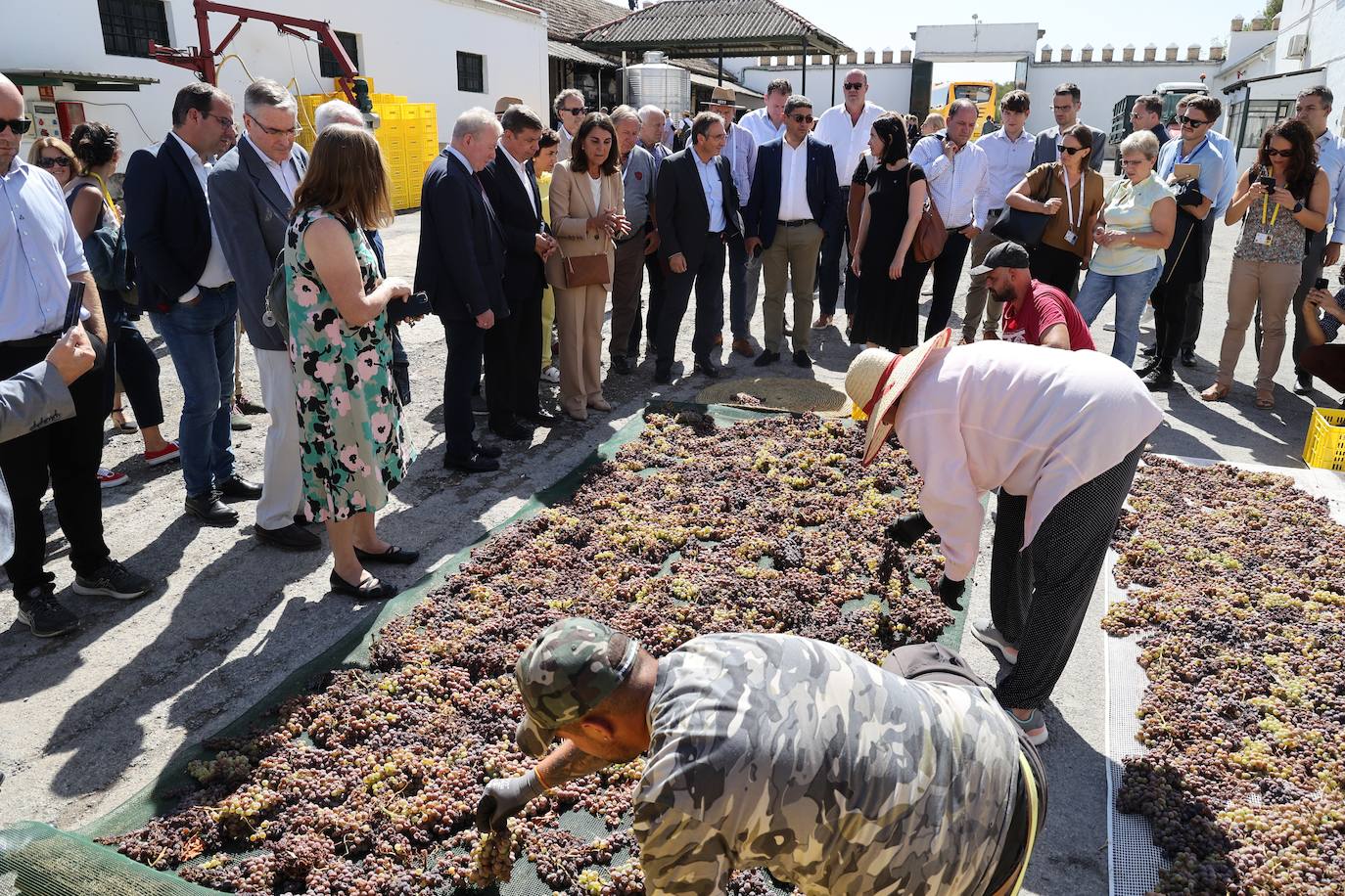 La visita de los ministros de Agricultura de la UE a Bodegas Alvear de Montilla