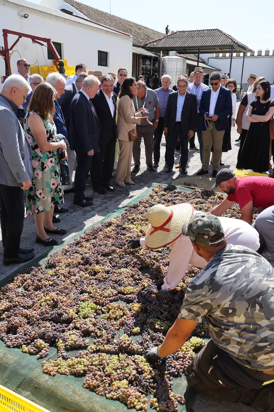 La visita de los ministros de Agricultura de la UE a Bodegas Alvear de Montilla