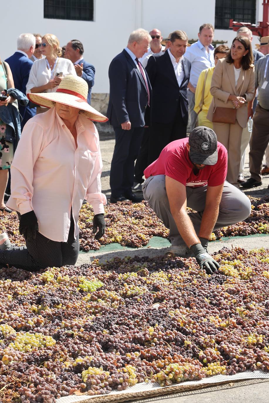 La visita de los ministros de Agricultura de la UE a Bodegas Alvear de Montilla