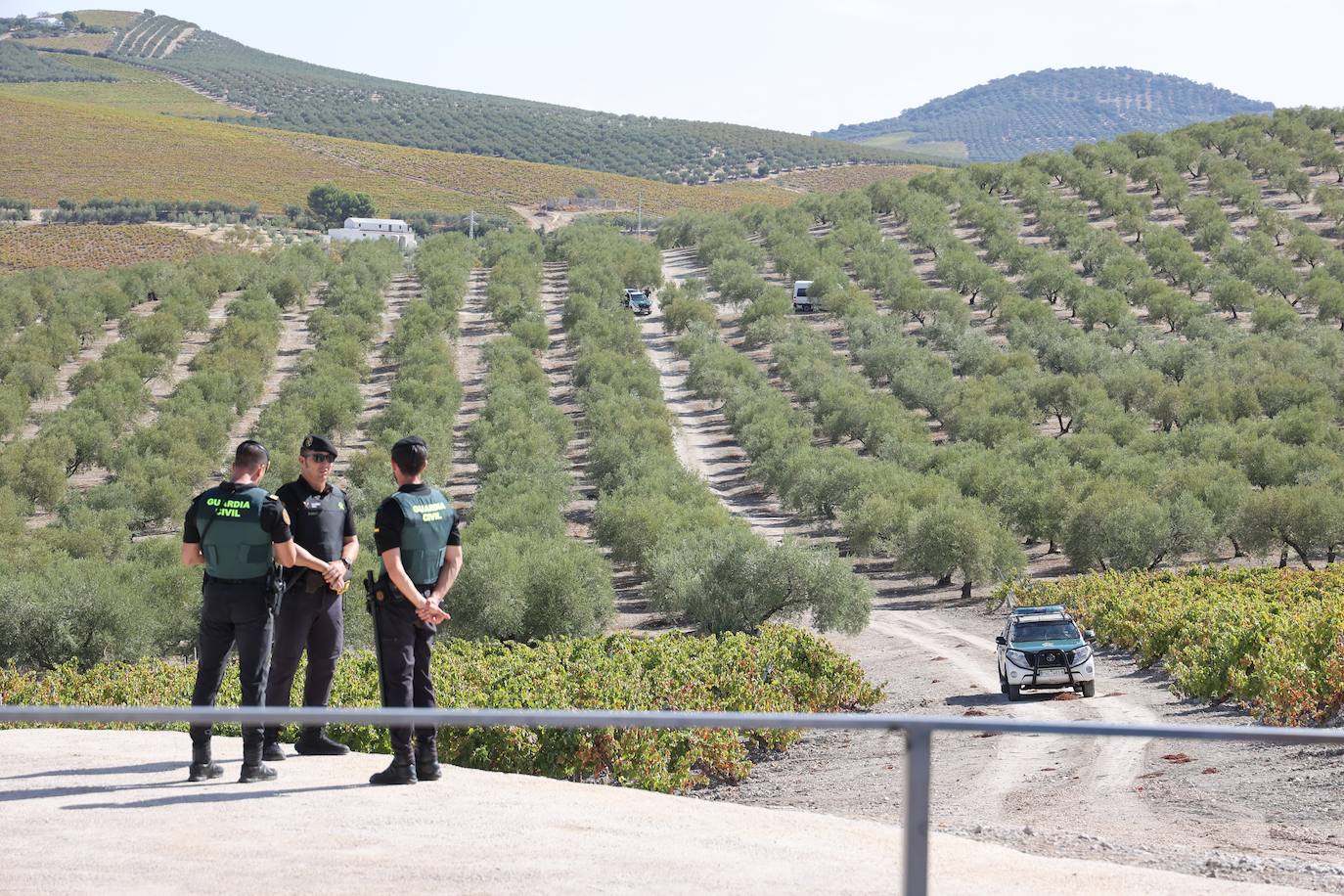 La visita de los ministros de Agricultura de la UE a Bodegas Alvear de Montilla