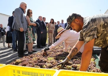 La visita de los ministros de Agricultura de la UE a Bodegas Alvear de Montilla