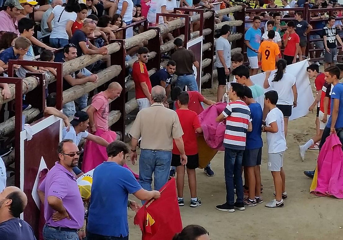 La suelta de reses en Pepino, una cita ineludible en uno de los pueblos más taurinos de la provincia