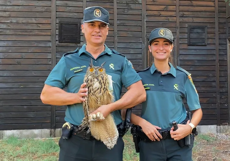 Imagen de los agentes de la Guardia Civil con el búho real rescatado en Chiva