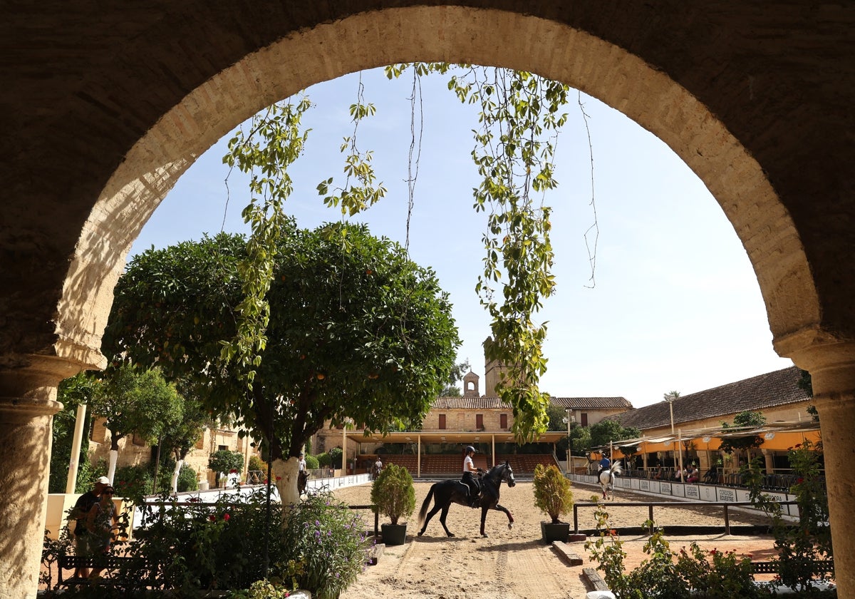 Jinetes y amazonas, ayer en las Caballerizas Reales de Córdoba