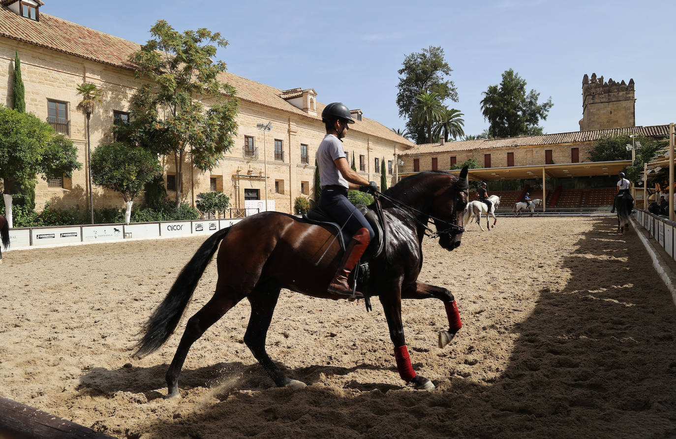 Caballerizas Reales se engalana para Cabalcor 2023, en imágenes