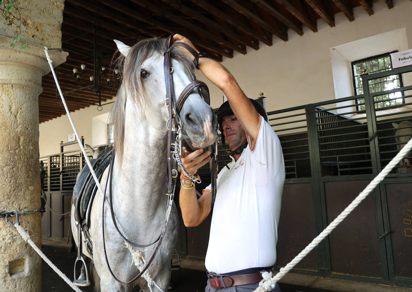 Caballerizas Reales se engalana para Cabalcor 2023, en imágenes