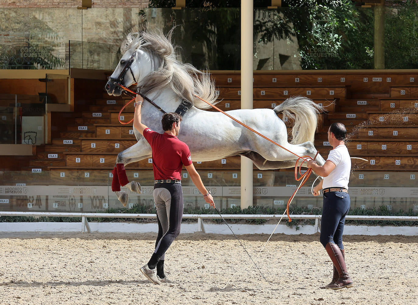 Caballerizas Reales se engalana para Cabalcor 2023, en imágenes