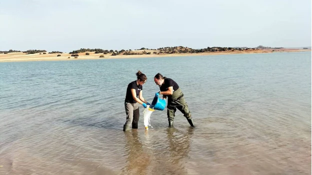 Imagen de un muestreo en el embalse de Alarcón