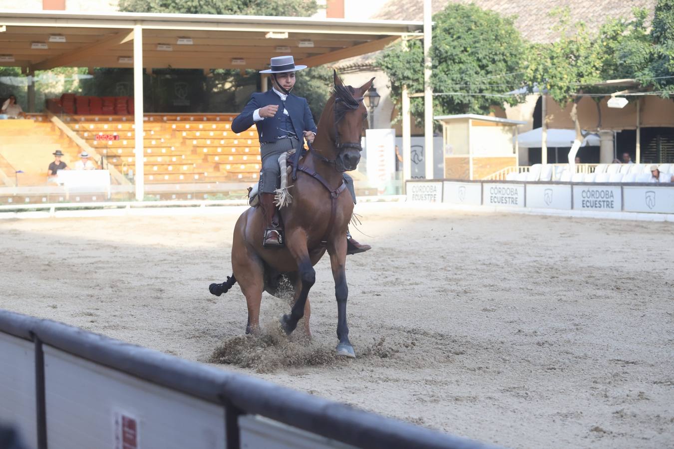 La Copa de España de Doma Vaquera en Córdoba