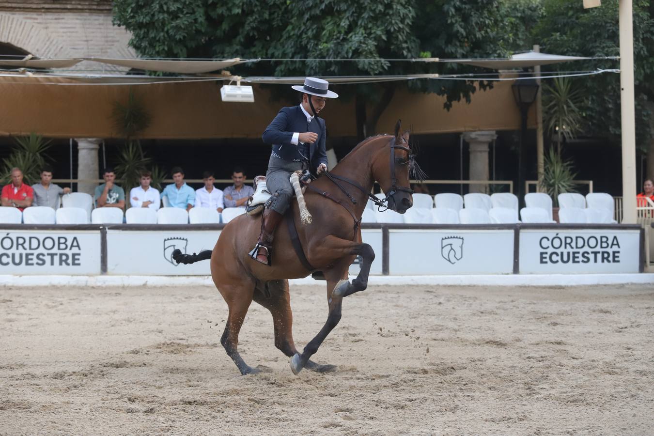 La Copa de España de Doma Vaquera en Córdoba