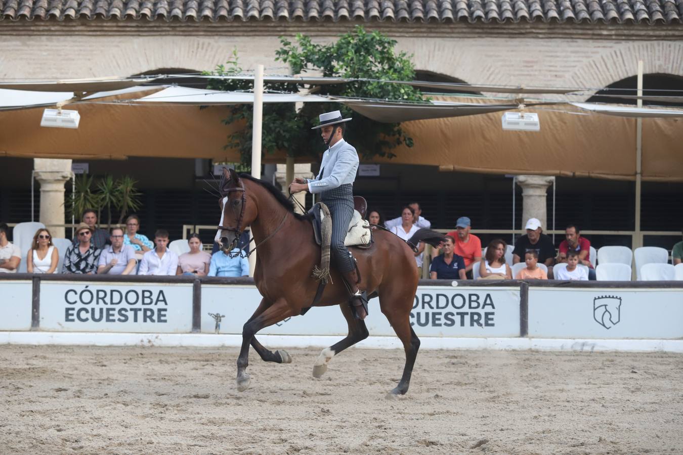 La Copa de España de Doma Vaquera en Córdoba