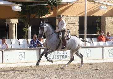 La Copa de España de Doma Vaquera en Córdoba