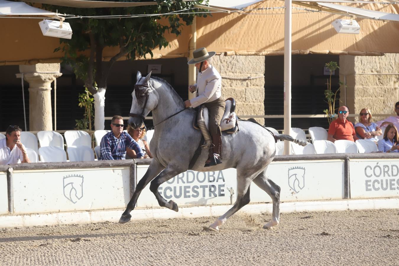 La Copa de España de Doma Vaquera en Córdoba