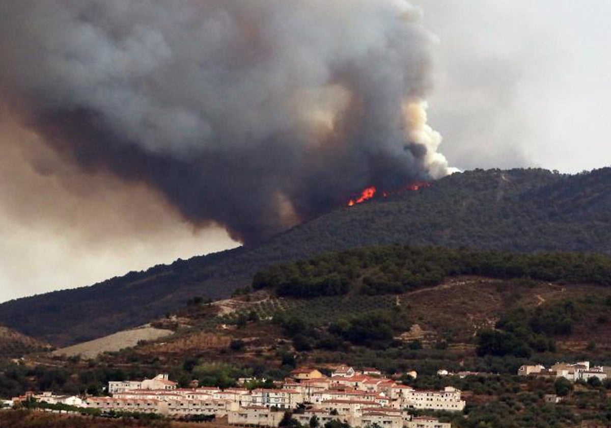 El incendio se declaró el 8 de septiembre de 2022 y acabó con más de 5.500 hectáreas.