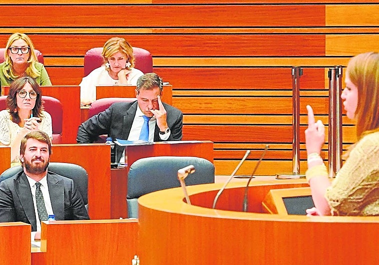 Patricia Gómez, durante su intervención este jueves en el Pleno de las Cortes