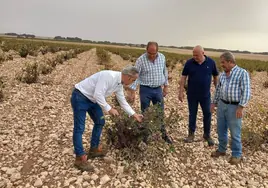 La DANA deja 10.000 hectáreas de superficie agraria afectadas en Toledo, Ciudad Real y Cuenca