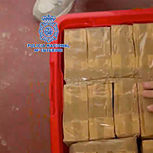 510 kilos de cocaína y 1,5 toneladas de hachís: cae una mafia que introducía droga en Península desde Canarias e intervienen