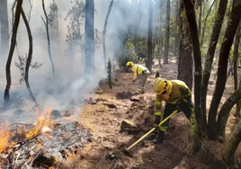 Controlado al fin el incendio en Tenerife casi un mes después