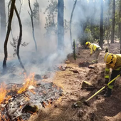 Controlado al fin el incendio en Tenerife casi un mes después