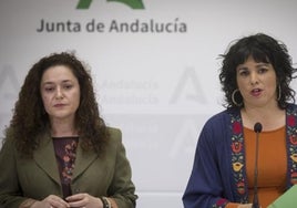 El Constitucional reconoce que IU y Podemos vulneraron los derechos de Teresa Rodríguez  al echarla del grupo