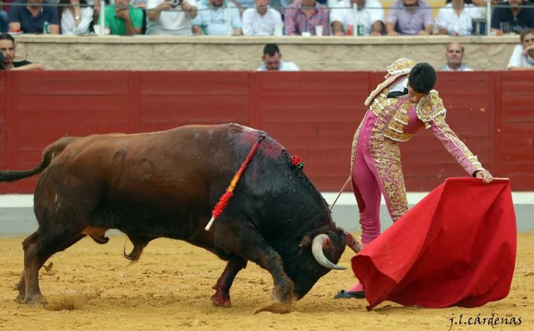 Imagen principal - Mejor matanza, mejor toro y mejor par de banderillas