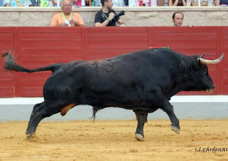 Imagen secundaria 1 - Mejor faena, mejor toro y mejor par de banderillas