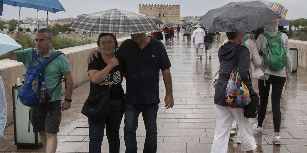 sevilla.abc.es