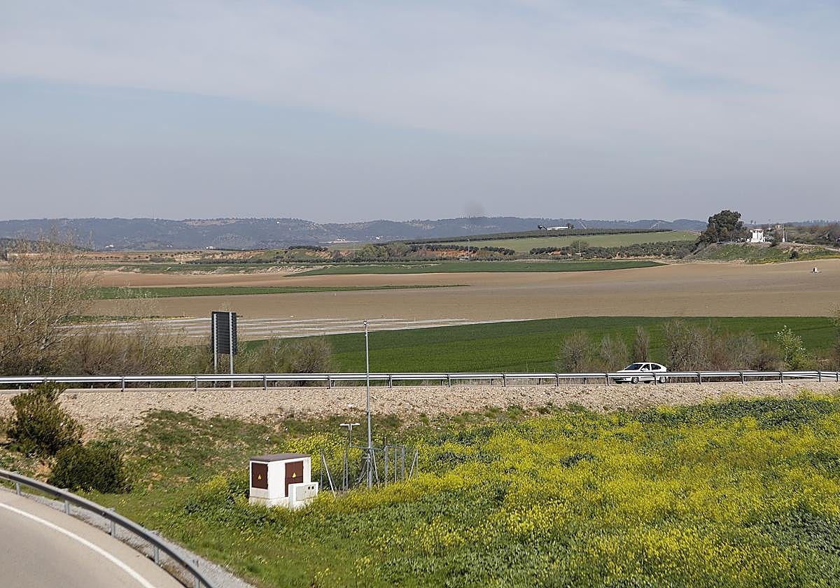 Suelos de la Rinconada, donde se levantará la Base Logística