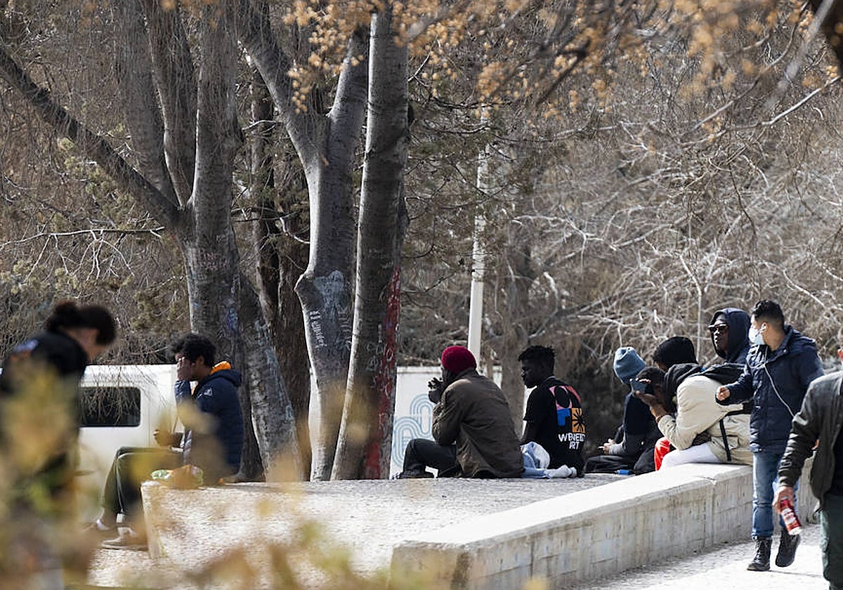 Un grupo de camellos, en el parque del Casino de la Reina