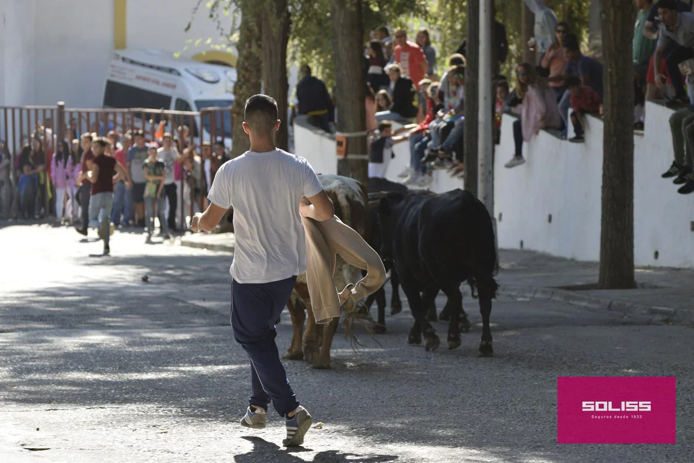 Embestido por un toro un joven de 18 años durante el encierro de las  fiestas del Cristo de la Vera Cruz en Yepes