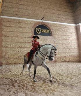 Imagen secundaria 2 - La elegancia de los Pura Raza se impone a la lluvia en la Feria del Caballo de Córdoba