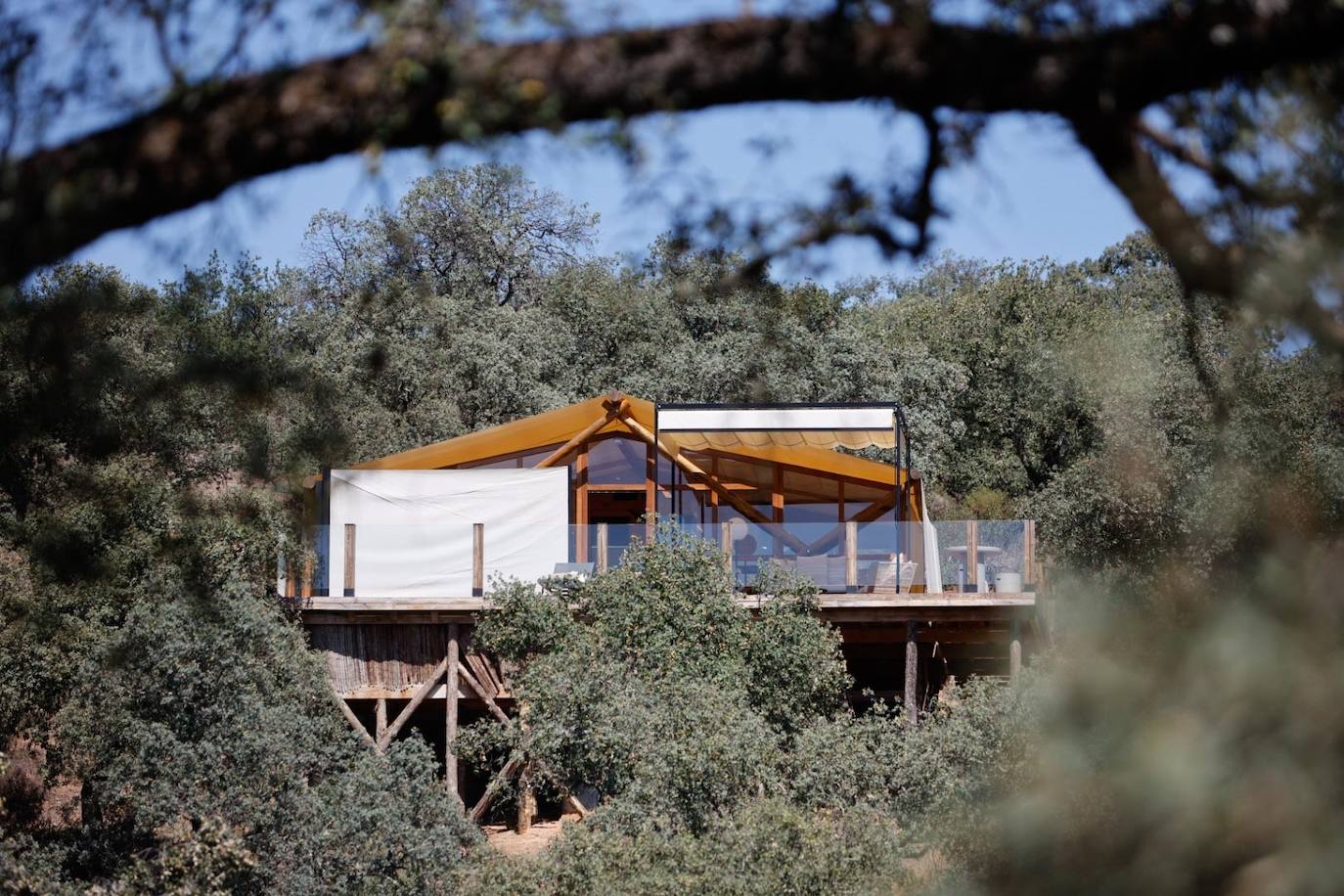 Las lujosas suites del glamping de lujo en Adamuz, en imágenes