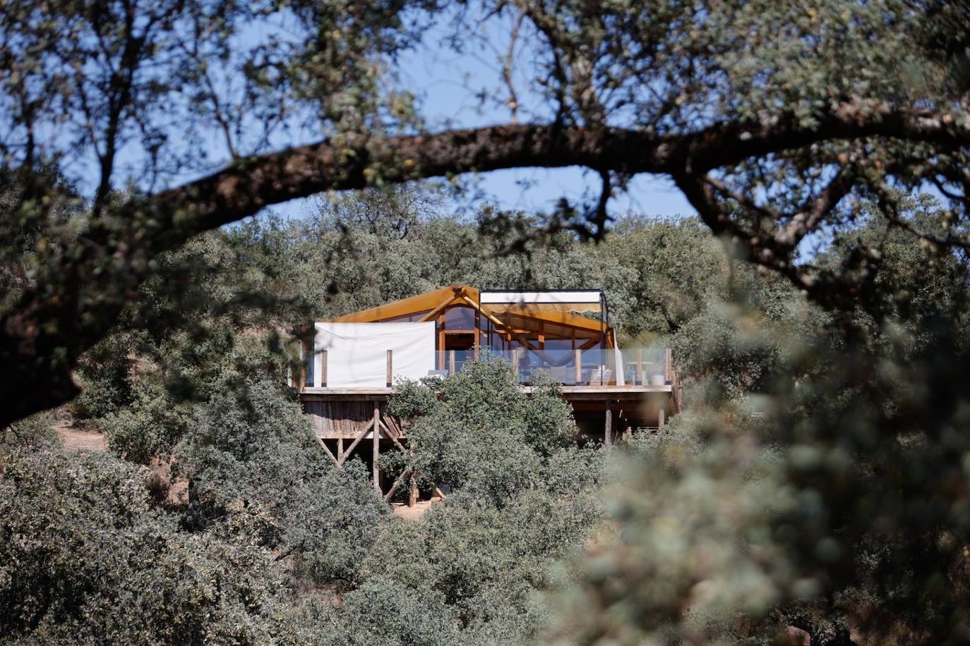 Las lujosas suites del glamping de lujo en Adamuz, en imágenes