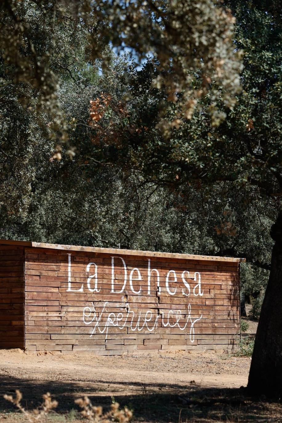 Las lujosas suites del glamping de lujo en Adamuz, en imágenes