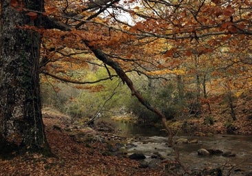 Liberación en la sierra