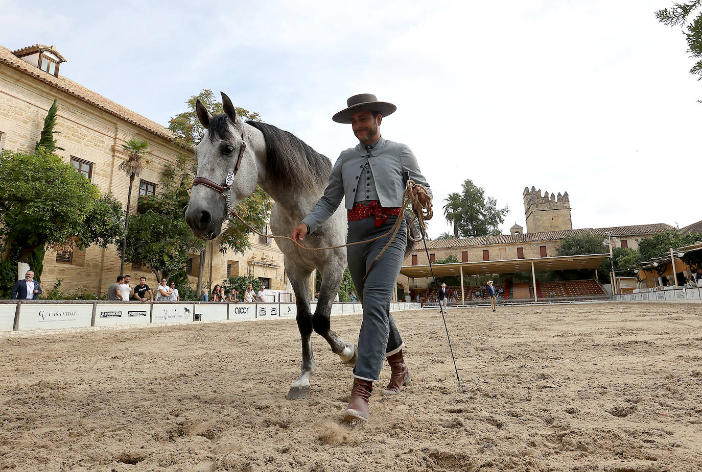 Fotos: El Concurso Morfológico de Cabalcor en Córdoba